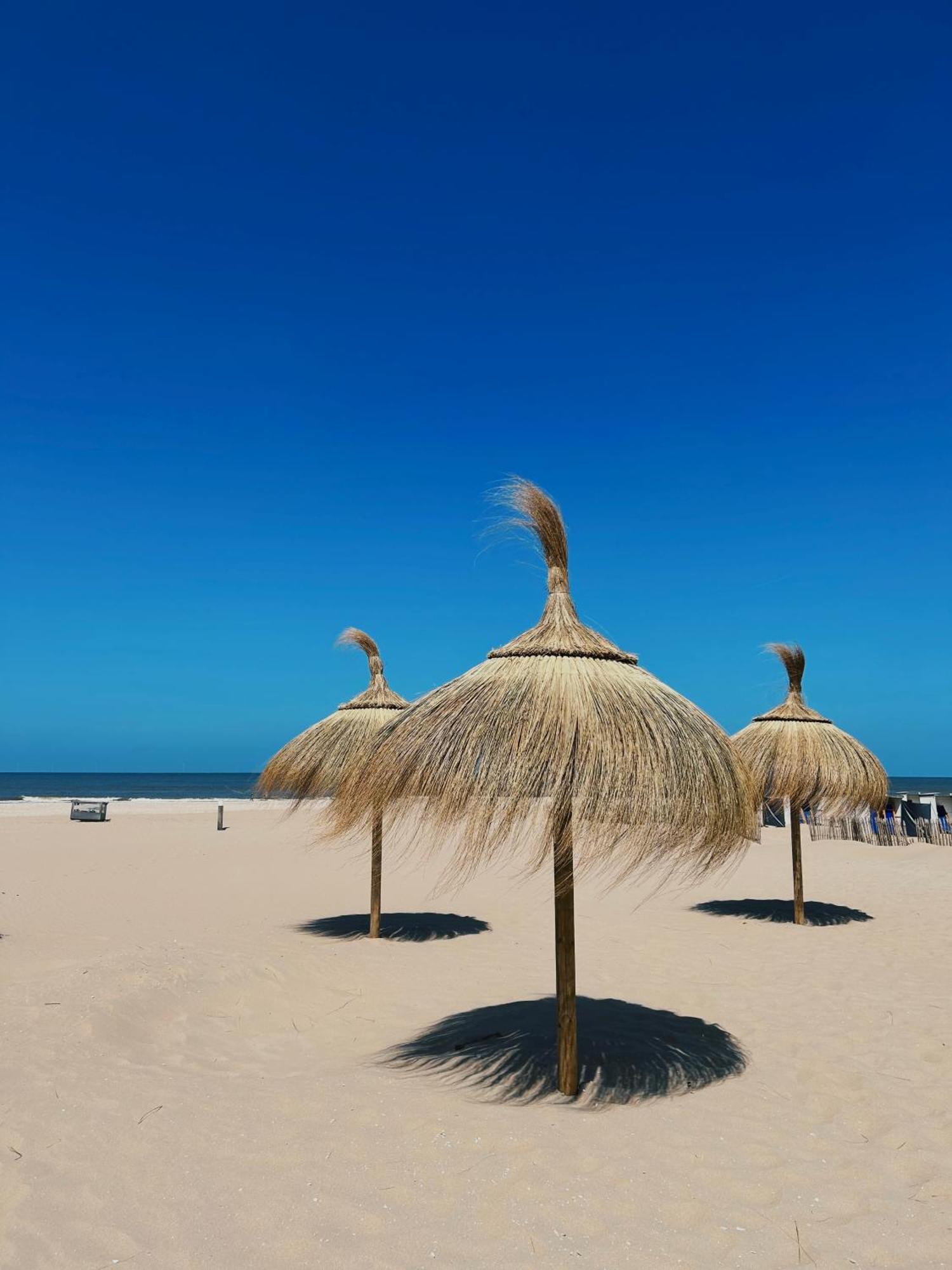 Sisters Beachbungalows Katwijk aan Zee Εξωτερικό φωτογραφία